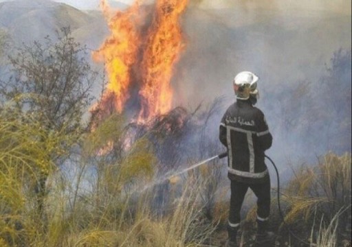 السلطات الجزائرية تعلن إخماد 41 حريقا من أصل 59 في 11 ولاية