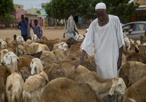 السعودية تسحب رخص استيراد الماشية من السودان