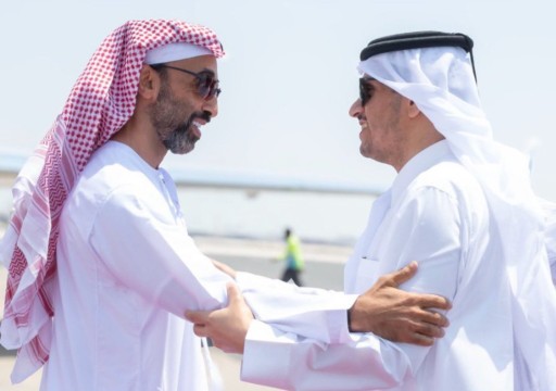 طحنون بن زايد ورئيس وزراء قطر يبحثان التعاون المشترك وقضايا إقليمية