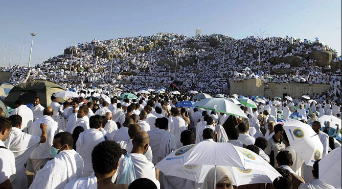 إشكالية تتكرر كل موسم.. الأضاحي بين المسالخ والذبح العشوائي