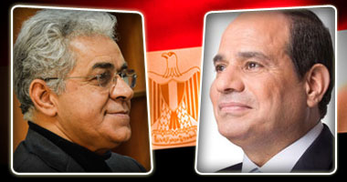 مصريو الخارج يدلون بأصواتهم في الانتخابات الرئاسية