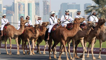 ابتكار إماراتي يكشف عن الإبل المصابة بـ "كورونا" خلال 20 دقيقة فقط