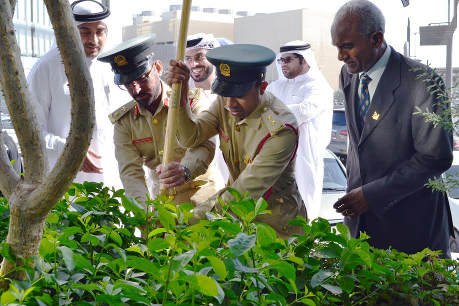 السودان يوقيع اتفاق مع "مؤسسة زايد" لرعاية البيئة وزراعة مليون شجرة